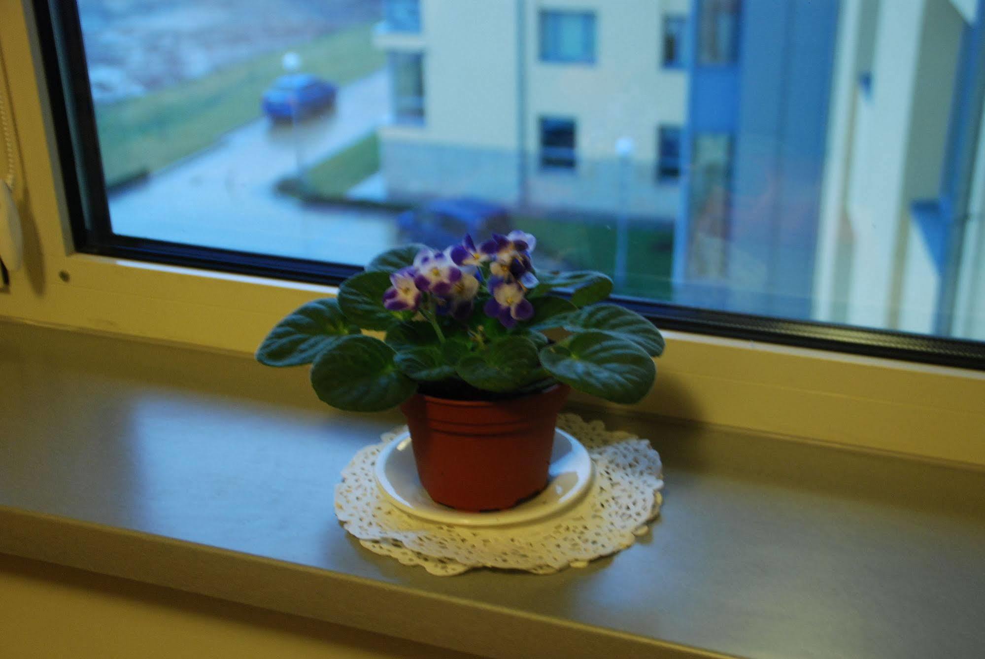 Ucu Inn - Кімнати Для Гостей Лвив Екстериор снимка